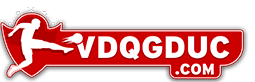 Logo website VĐQG Đức